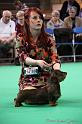 Crufts2011_2 1201